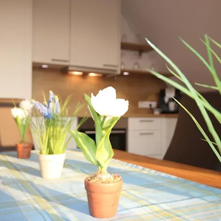 Landhaus Fuenfseen 公寓 Fuenfseen