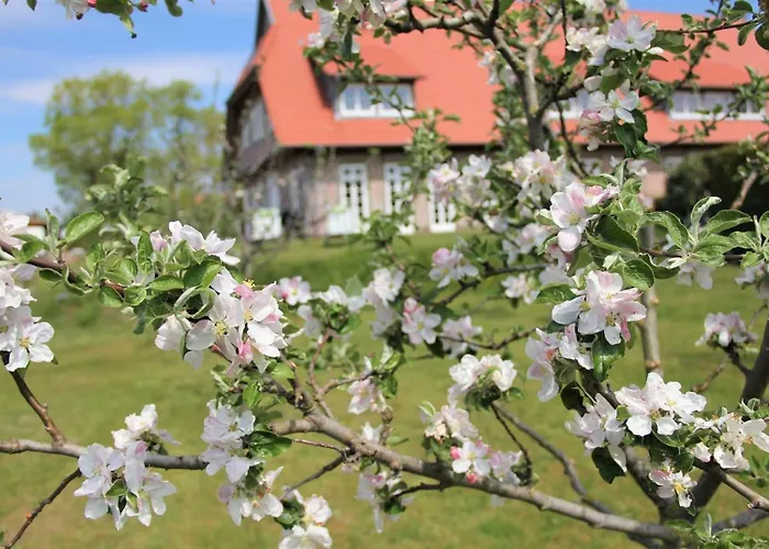Landhaus Fuenfseen Lejlighed